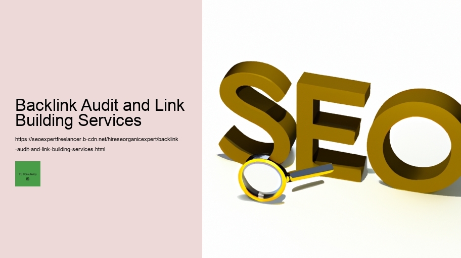 Backlink Audit and Link Building Services